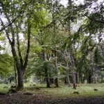 img_20170916_154928