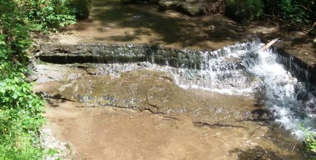 Schwäbischer Albverein | Ortsgruppe Westerheim