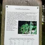 315e6978-41cf-4ac1-9112-9e19bf0fe6a9