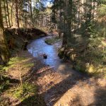 AED292E2-57C6-4E62-B5FC-662604EACCB4-1978-000001E470E7BC13